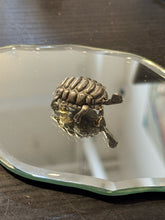Load image into Gallery viewer, Silver handcrafted Tortoise pin
